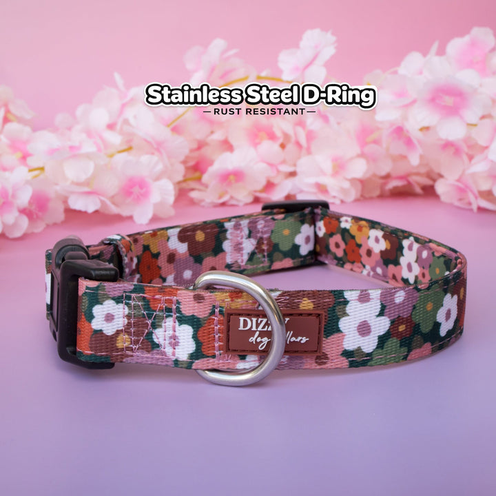 Autumn Acres Dog Collar | Neoprene Padded | Stainless Steel Hardware
