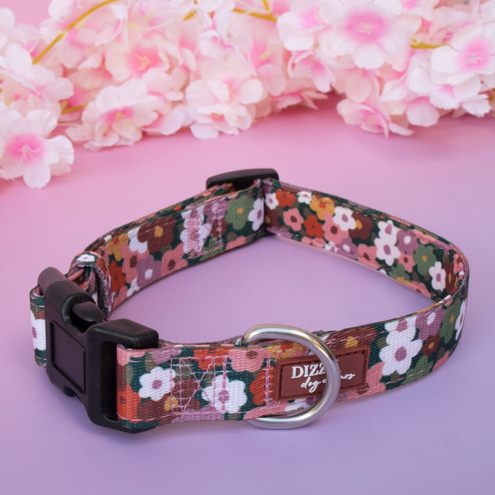 Autumn Acres Dog Collar | Neoprene Padded | Stainless Steel Hardware