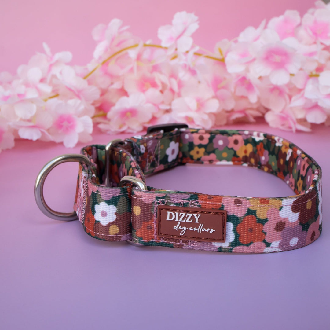 Martingale Dog Collar - Autumn Acres