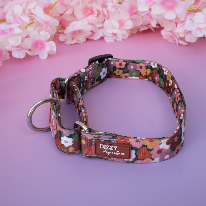 Martingale Dog Collar - Autumn Acres