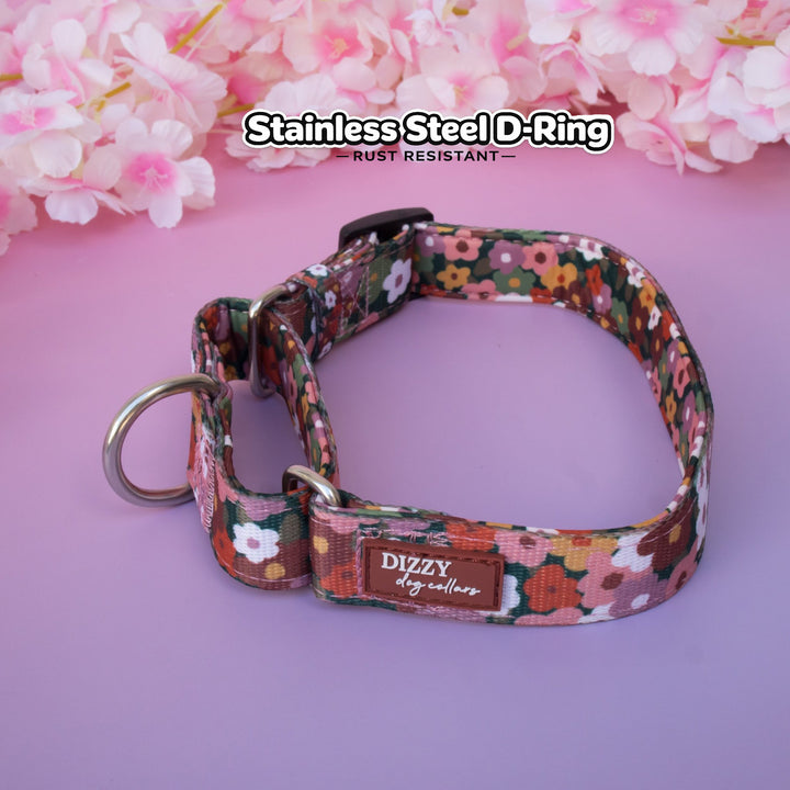 Martingale Dog Collar - Autumn Acres
