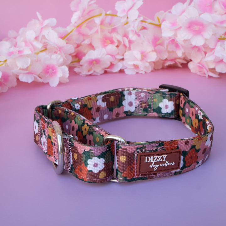 Martingale Dog Collar - Autumn Acres