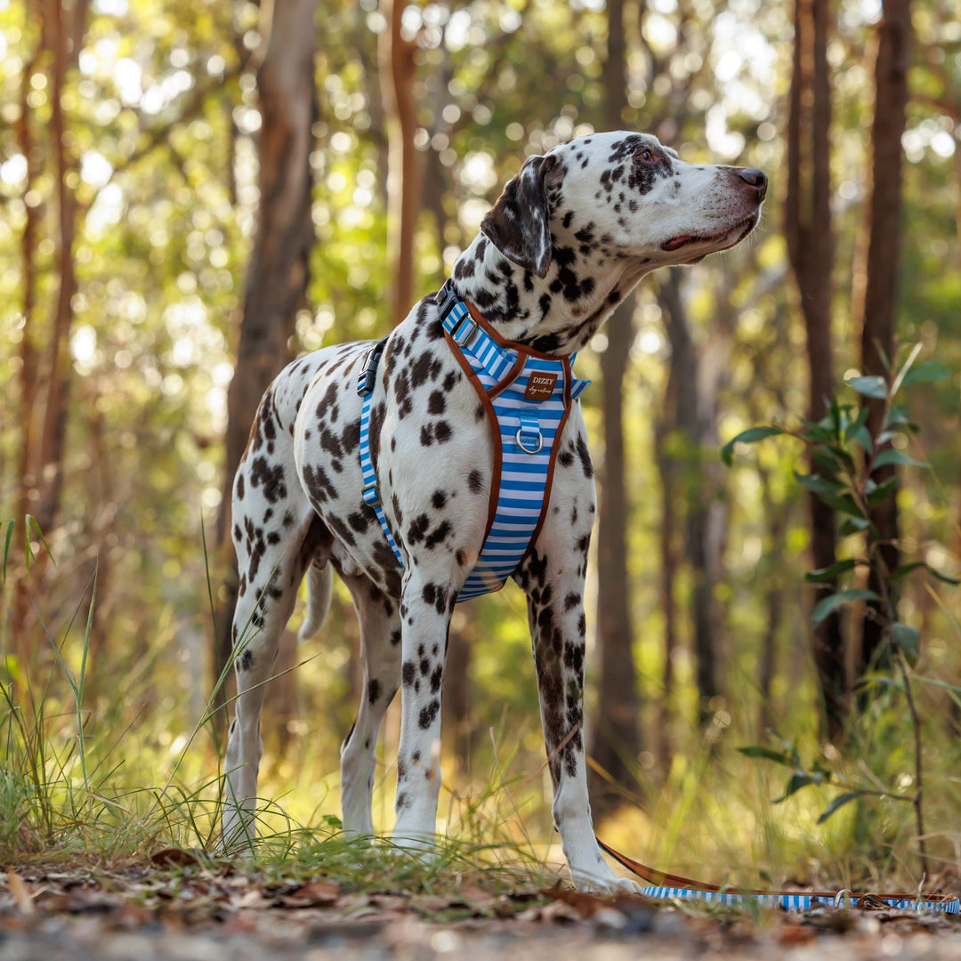 No Pull Dog Harness with Handle | Step in & Reflective | STAINLESS STEEL | Seaside Stroll