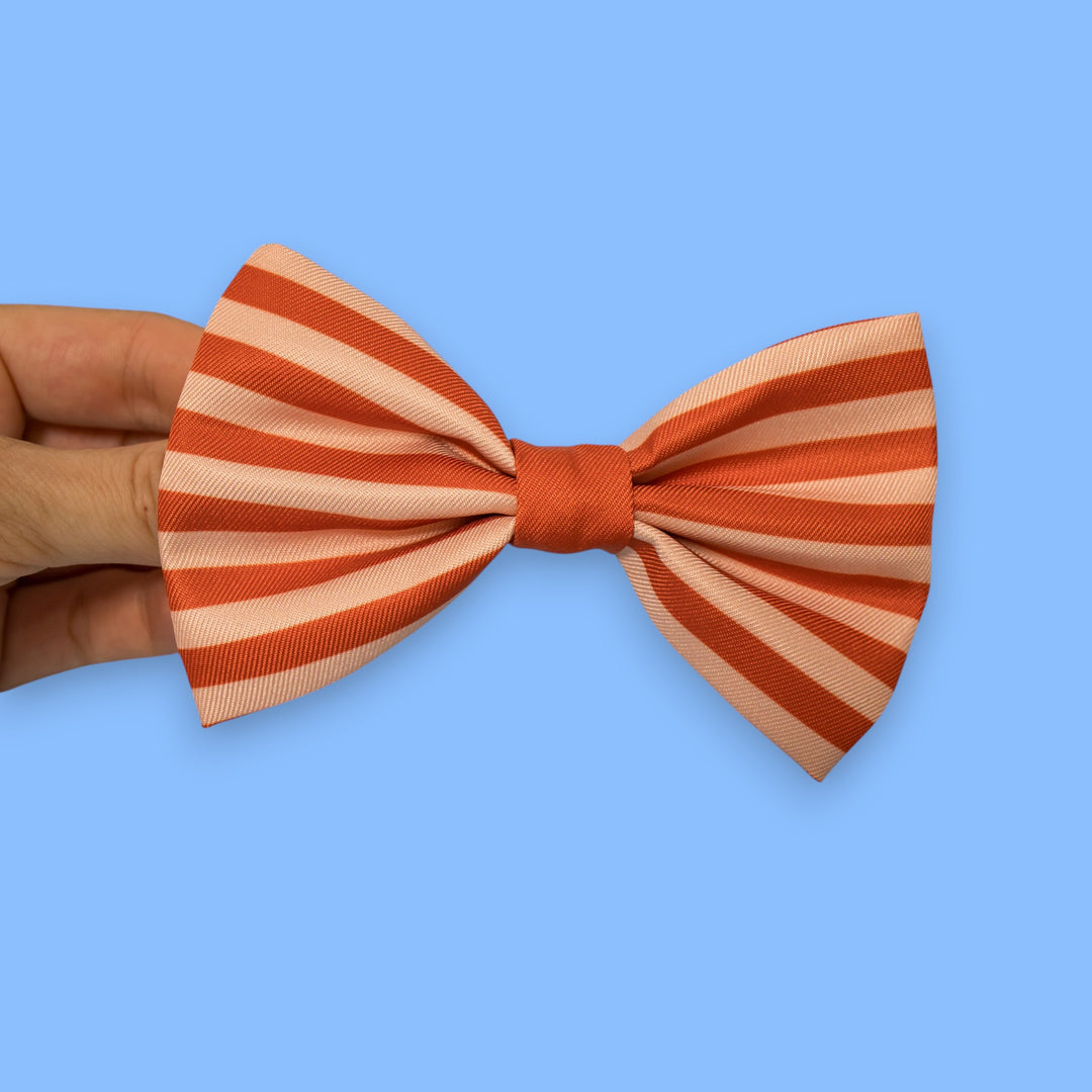 Dog Bow Tie | Rusty Ridge