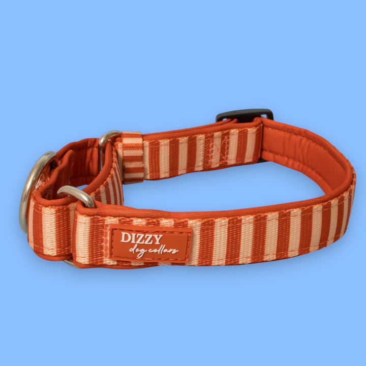 Rusty Ridge Martingale Collar  | Stainless Steel