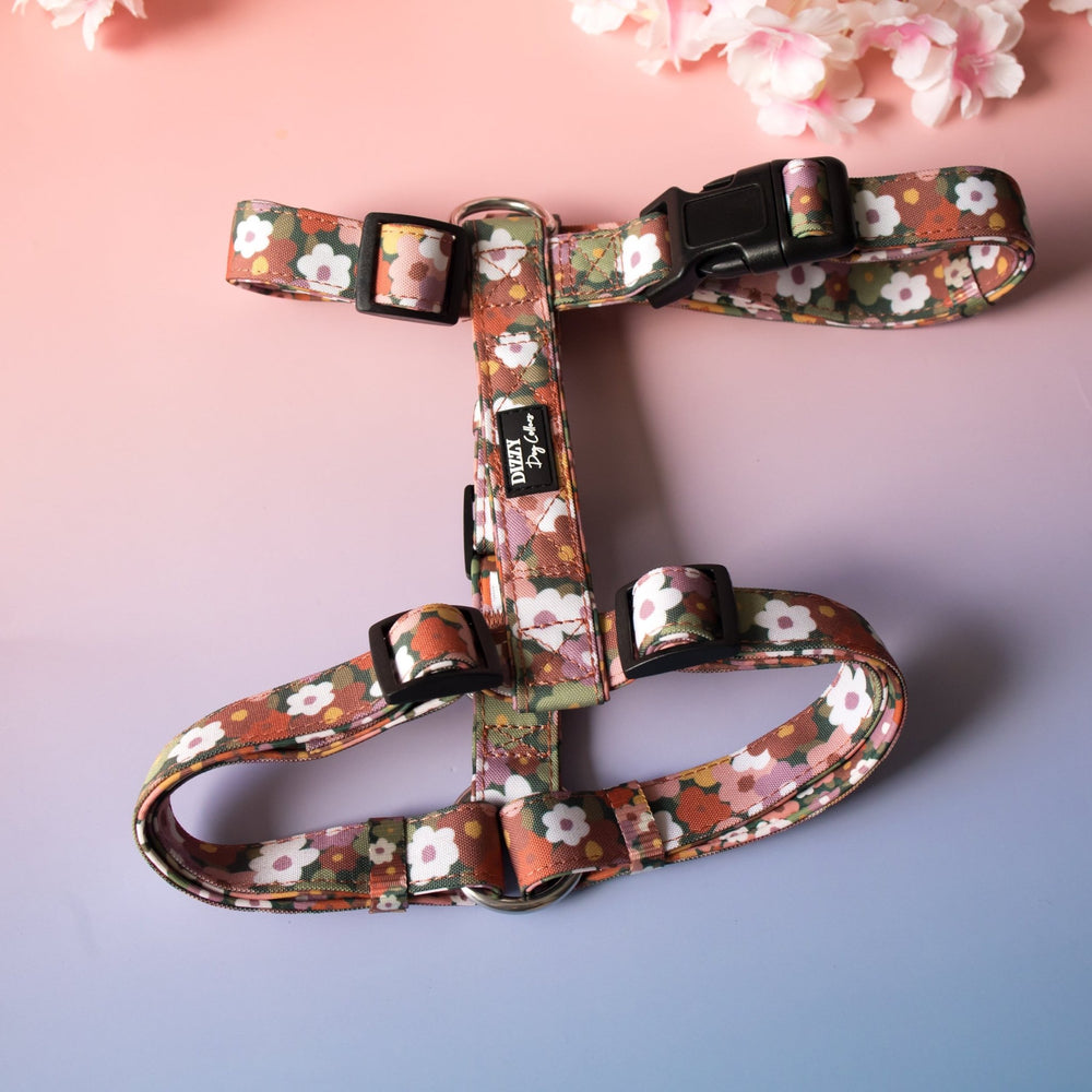 Floral patterned dog harness on a gradient background