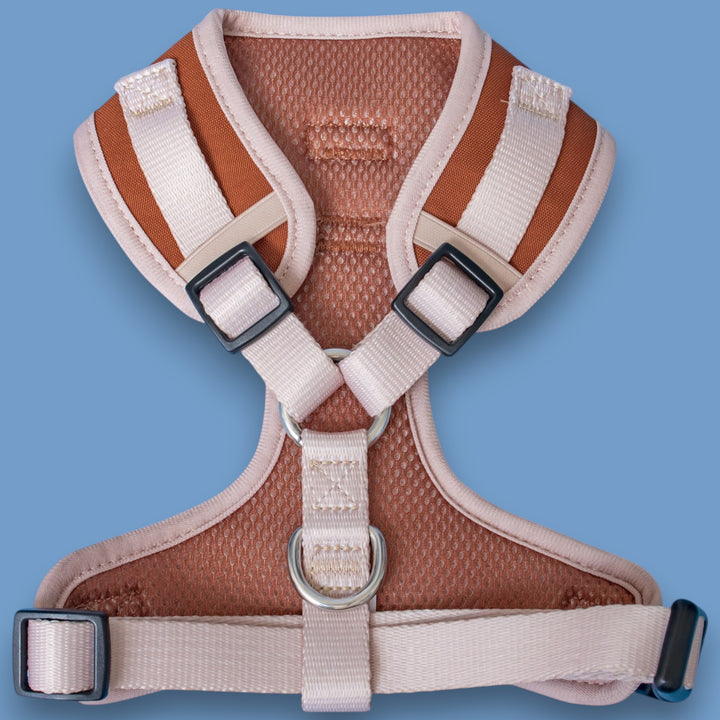 The Chai Adjustable Dog Harness | Chai & Beige | Front & Back D-Rings