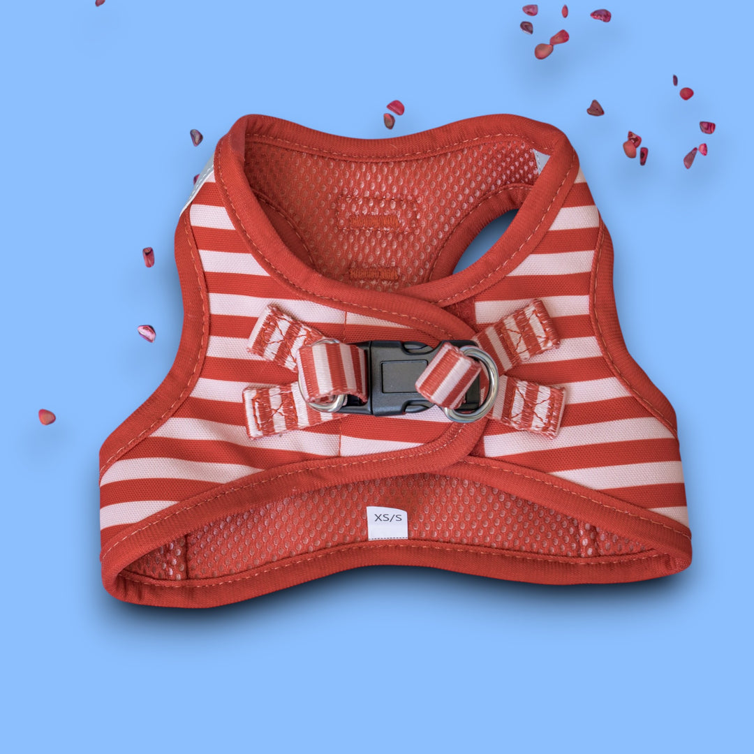 Rusty Ridge Step In Dog Harness | No Pull Harness with Stainless Steel Hardware