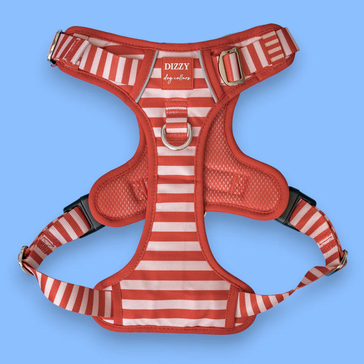 ****SECONDS*** No Pull Dog Harness with Handle |  Rusty Ridge