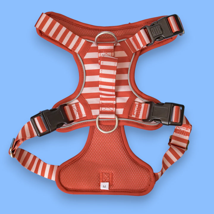 No Pull Dog Harness with Handle | Step in & Reflective | Rusty Ridge