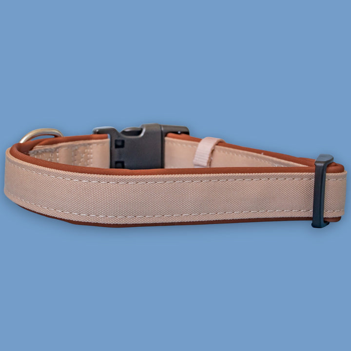 The Chai Dog Collar | Neoprene Padded | Stainless Steel D-Ring | Chai & Beige