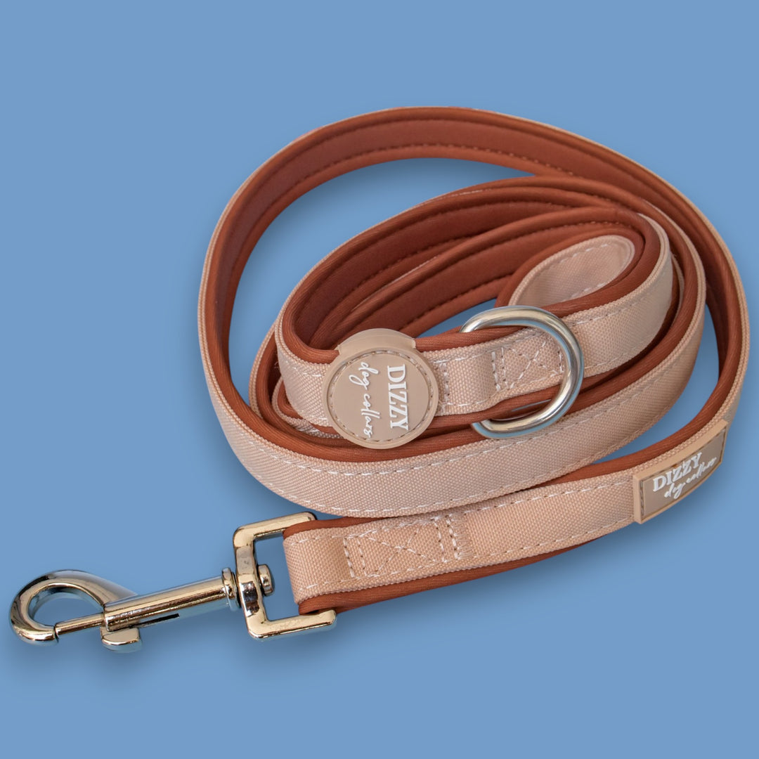 The Chai Dog Leash | Fully Padded Canvas & Neoprene