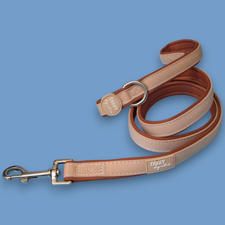 The Chai Dog Leash | Fully Padded Canvas & Neoprene