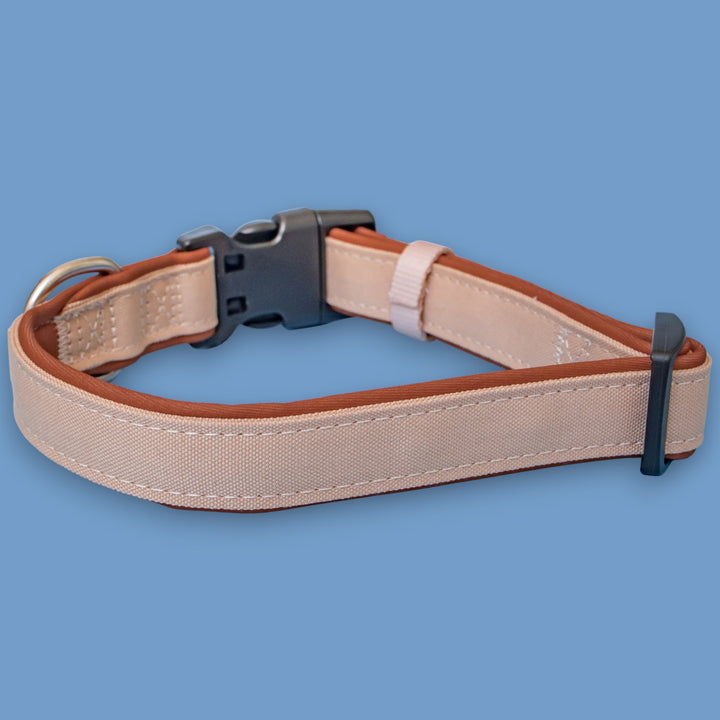 The Chai Dog Collar | Neoprene Padded | Stainless Steel D-Ring | Chai & Beige