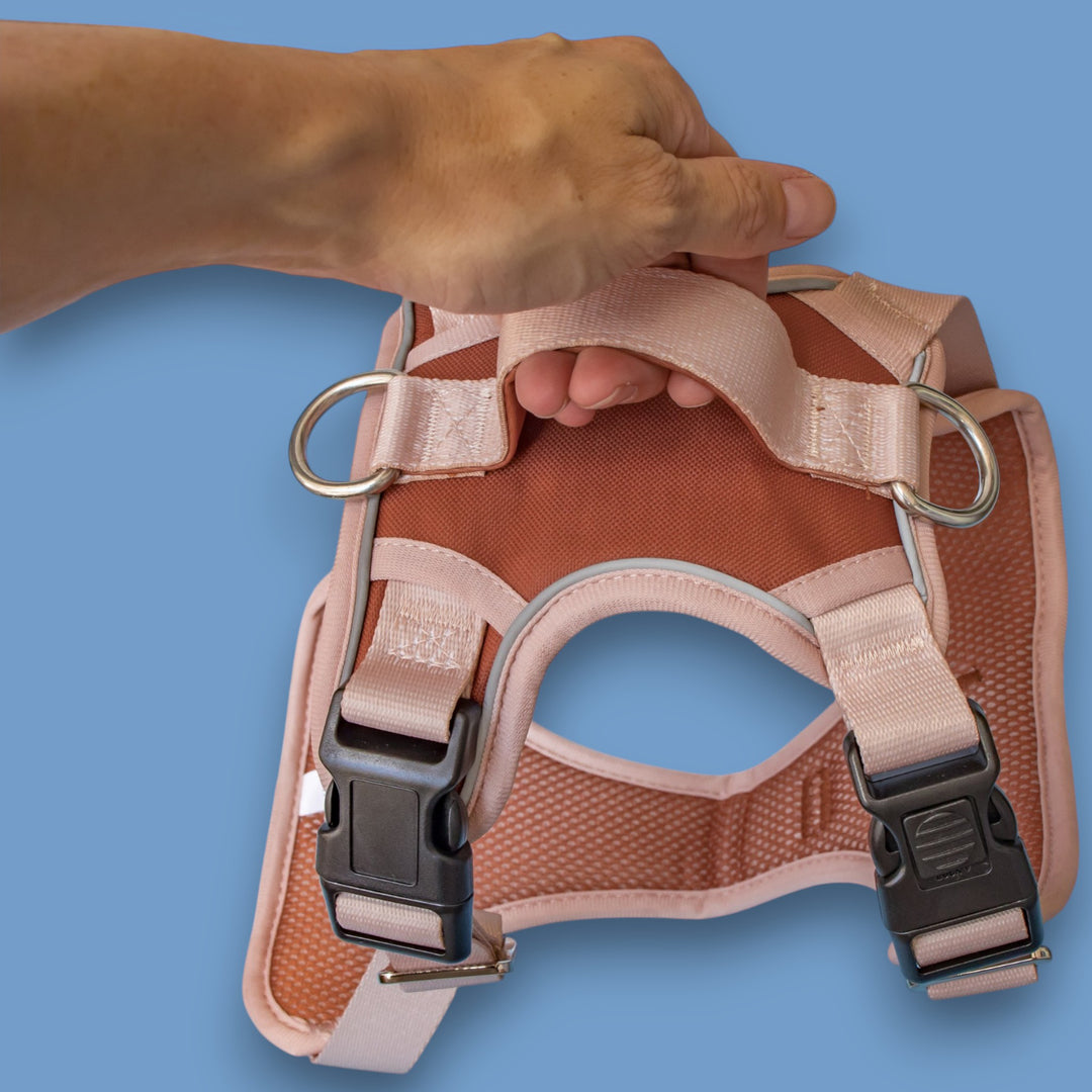 The Chai No Pull Dog Harness | Stainless Steel Step-In with Handle