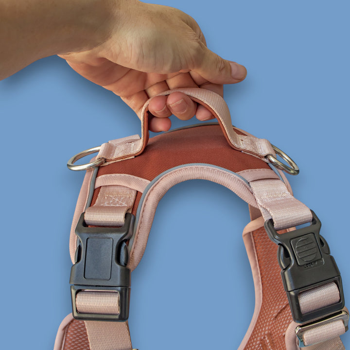 The Chai No Pull Dog Harness | Stainless Steel Step-In with Handle