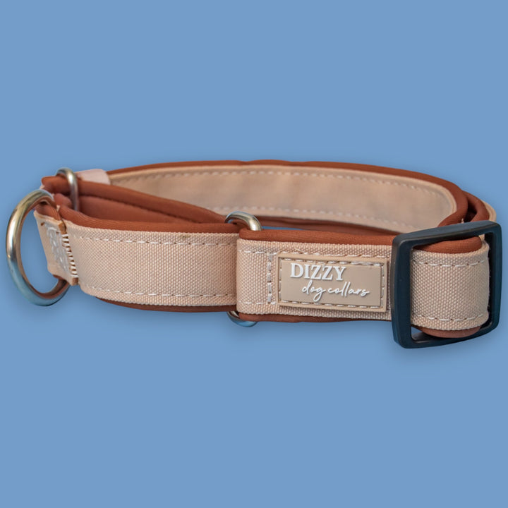The Chai Martingale Dog Collar | Canvas & Neoprene