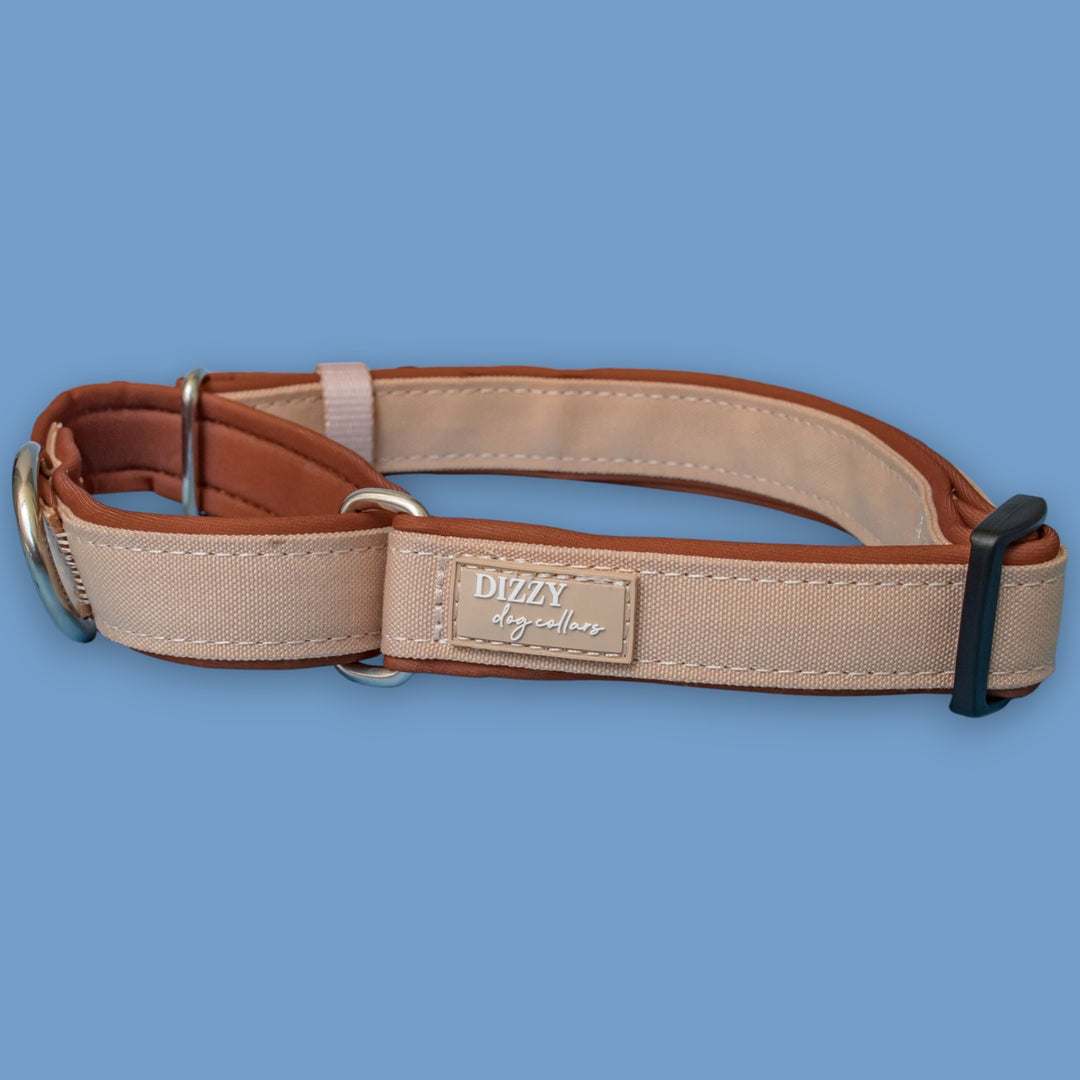 The Chai Martingale Dog Collar | Canvas & Neoprene