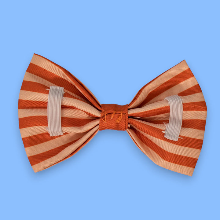 Dog Bow Tie | Rusty Ridge