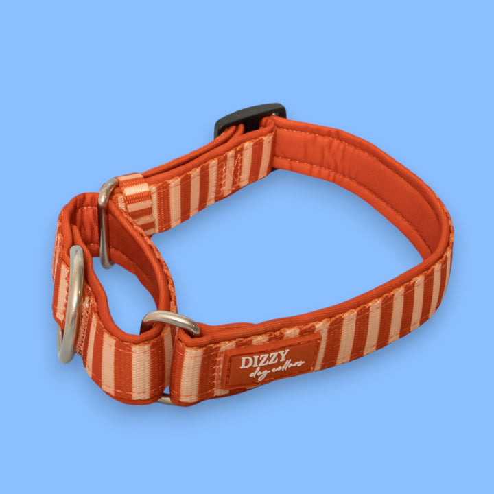 Rusty Ridge Martingale Collar  | Stainless Steel