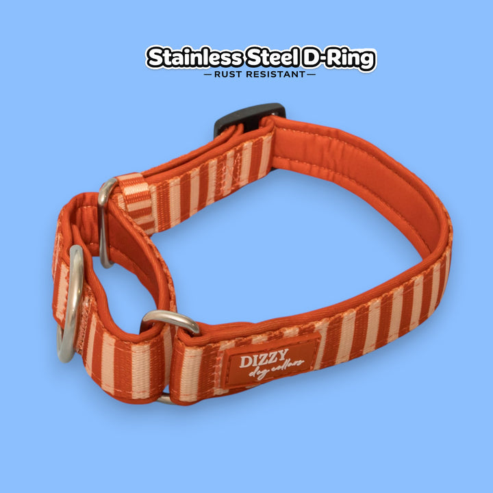 Rusty Ridge Martingale Collar  | Stainless Steel