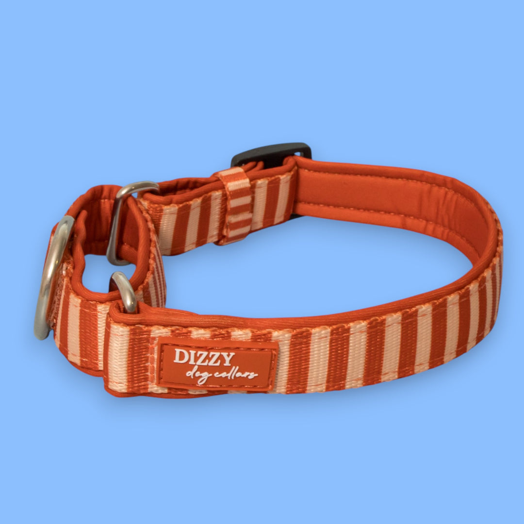 Rusty Ridge Martingale Collar  | Stainless Steel