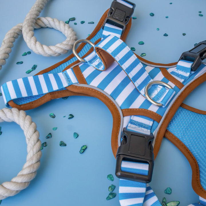 No Pull Dog Harness with Handle | Step in & Reflective | STAINLESS STEEL | Seaside Stroll