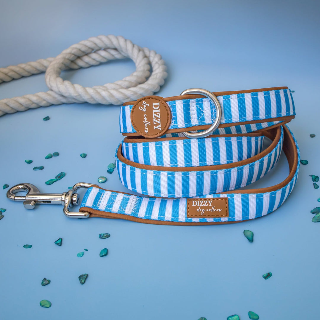 Seaside Stroll Dog Leash | Fully Padded Neoprene Lead | Stainless Steel