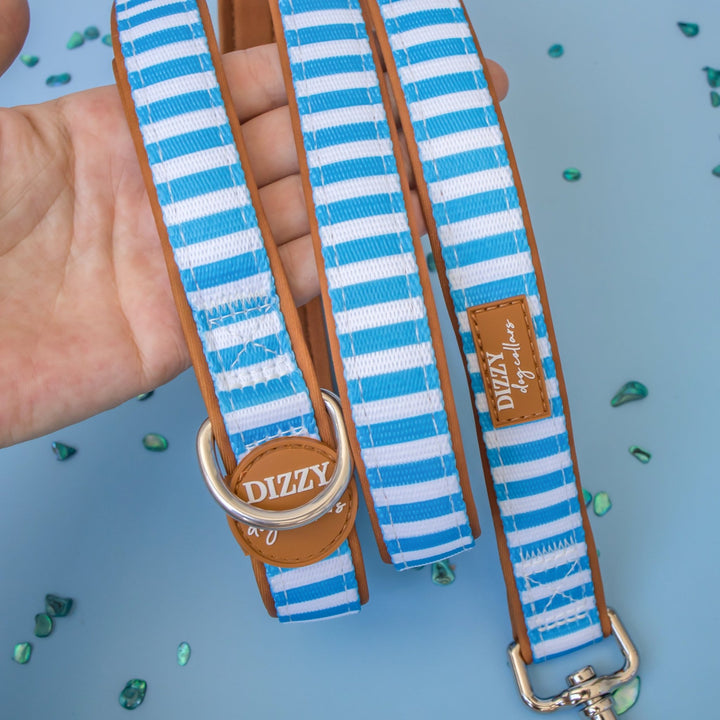 Seaside Stroll Dog Leash | Fully Padded Neoprene Lead | Stainless Steel