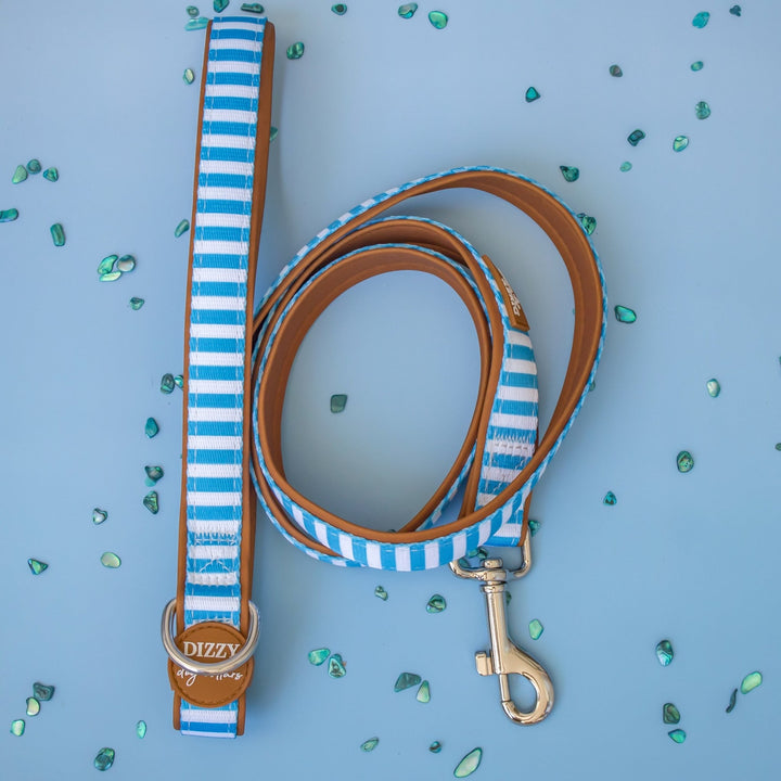 Seaside Stroll Dog Leash | Fully Padded Neoprene Lead | Stainless Steel