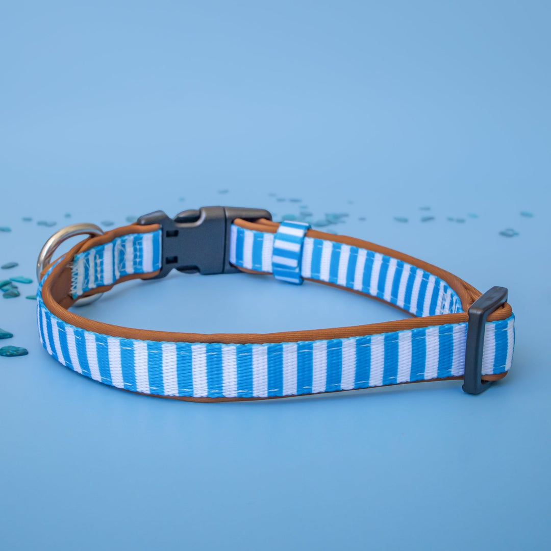 Seaside Stroll Dog Collar | Neoprene Dog Collar | Stainless Steel