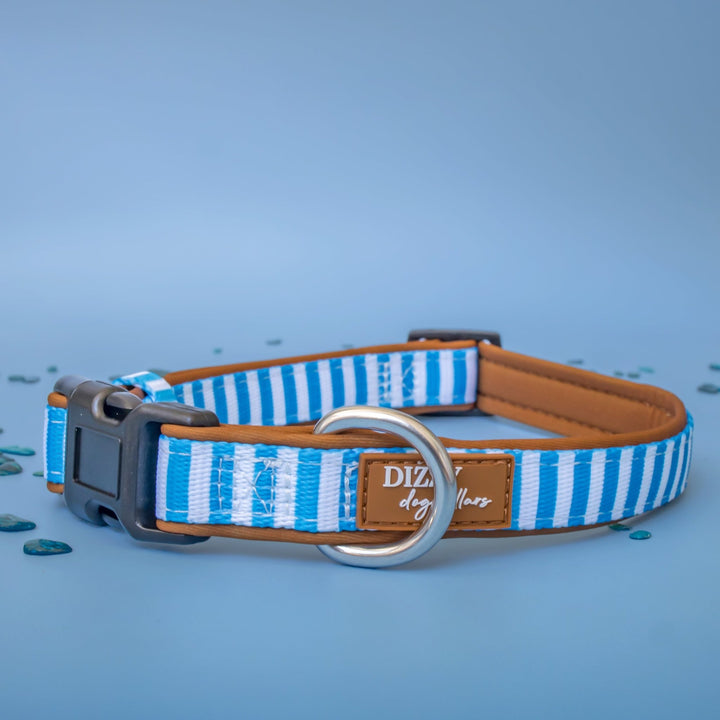 Seaside Stroll Dog Collar | Neoprene Dog Collar | Stainless Steel