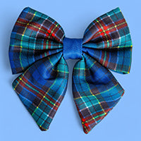 Blue plaid bow on a light blue background