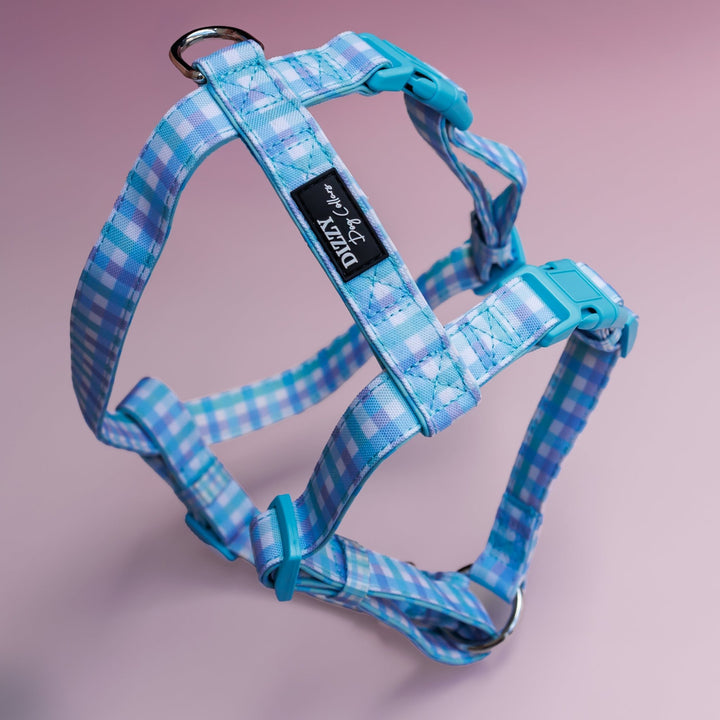 Step in H Harness with front & back attachment |  Breezy Blue Gingham | Fully Padded Canvas & Neoprene Harness