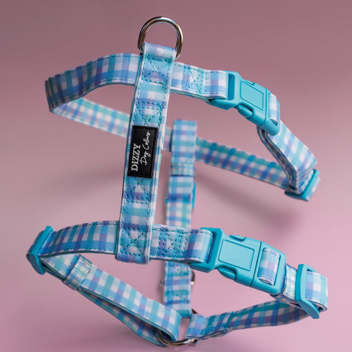 Step in H Harness with front & back attachment |  Breezy Blue Gingham | Fully Padded Canvas & Neoprene Harness