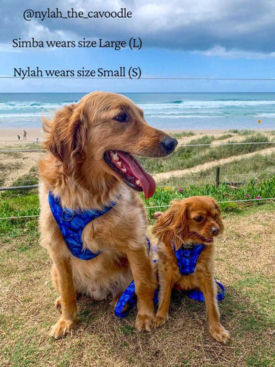 DOG HARNESS | Blue Marble | Neck Adjustable Dog Harness-Harness-Dizzy Dog Collars