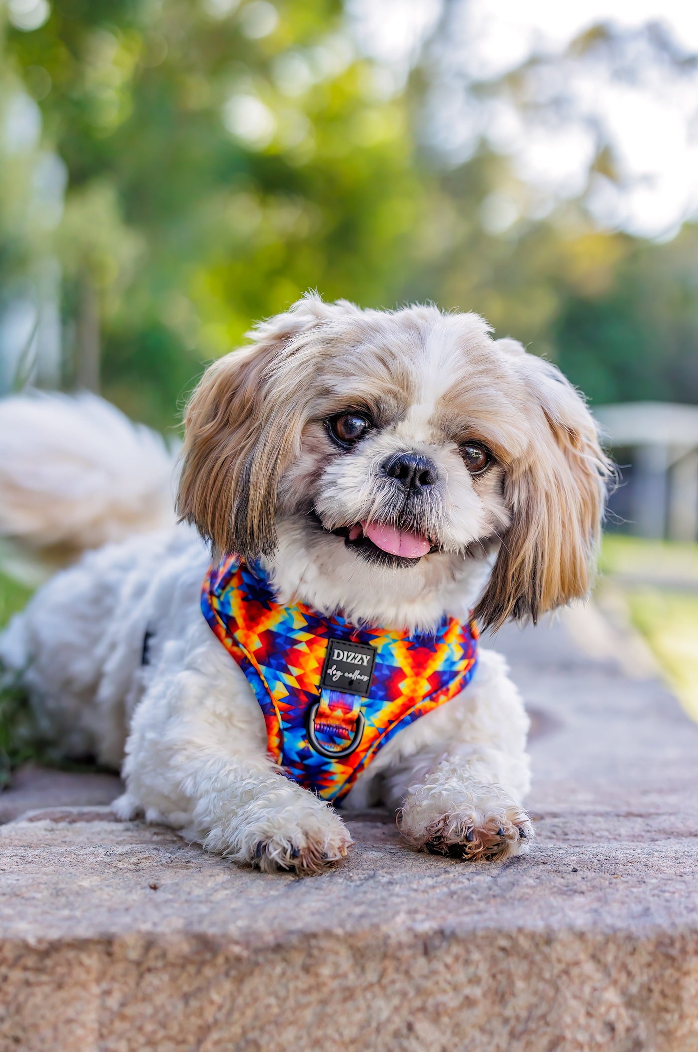 DOG HARNESS | Kaleidoscope | Neck Adjustable Dog Harness-Fabric Harness-Dizzy Dog Collars