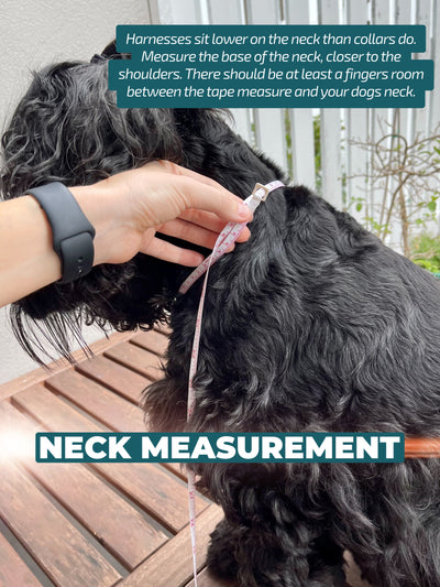 DOG HARNESS | Kaleidoscope | Neck Adjustable Dog Harness-Fabric Harness-Dizzy Dog Collars