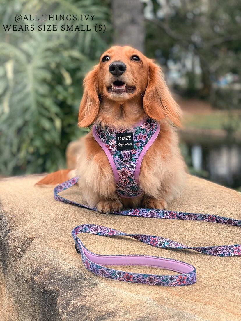 DOG HARNESS | Lilac Floral | Neck Adjustable Dog Harness-Harness-Dizzy Dog Collars