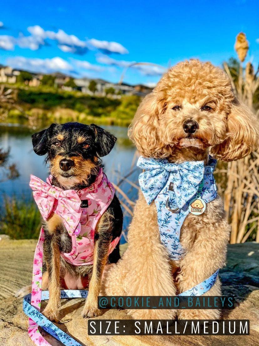 DOG HARNESS | Little Lou | Neck Adjustable Dog Harness-Harness-Dizzy Dog Collars