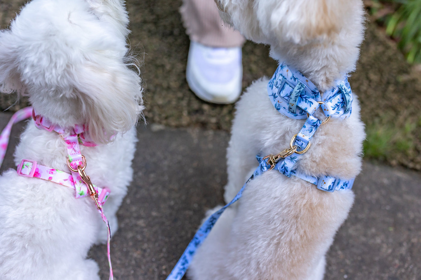 DOG HARNESS | Little Lou | Neck Adjustable Dog Harness-Fabric Harness-Dizzy Dog Collars