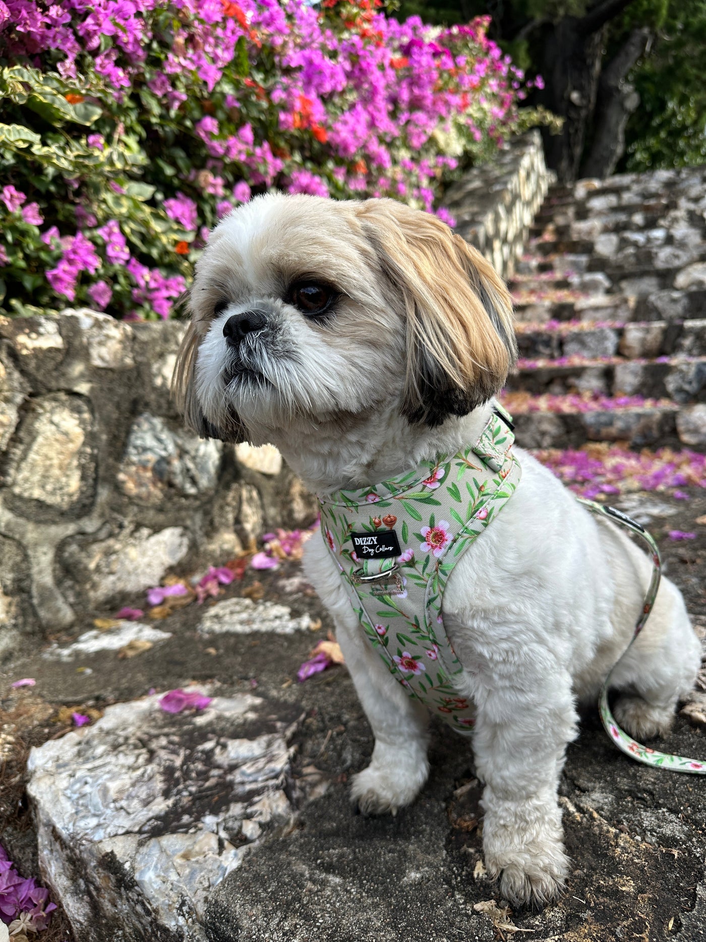 DOG HARNESS | Manuka | Neck Adjustable Dog Harness-Fabric Harness-Dizzy Dog Collars