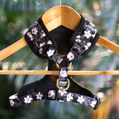 DOG HARNESS - Midnight Cherry Blossoms - Neck Adjustable Harness (Premade)-Harness-Dizzy Dog Collars