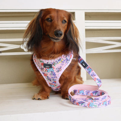 DOG HARNESS - Molly & Polly, Neck Adjustable Harness, Pink Boho Dog Harness-Harness-Dizzy Dog Collars