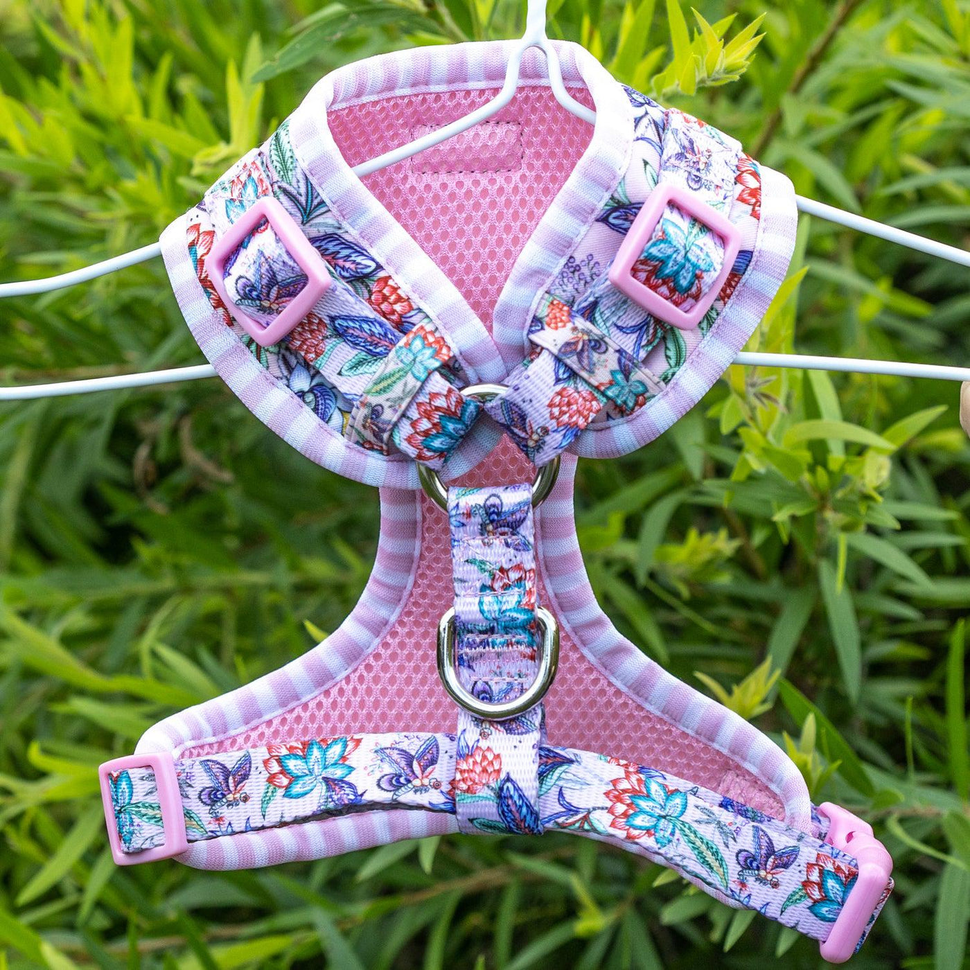 DOG HARNESS - Molly & Polly, Neck Adjustable Harness-Harness-Dizzy Dog Collars