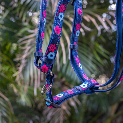 DOG HARNESS, Navy Floral- Padded H-Harness, With Front & Back Attachment-Harness-Dizzy Dog Collars