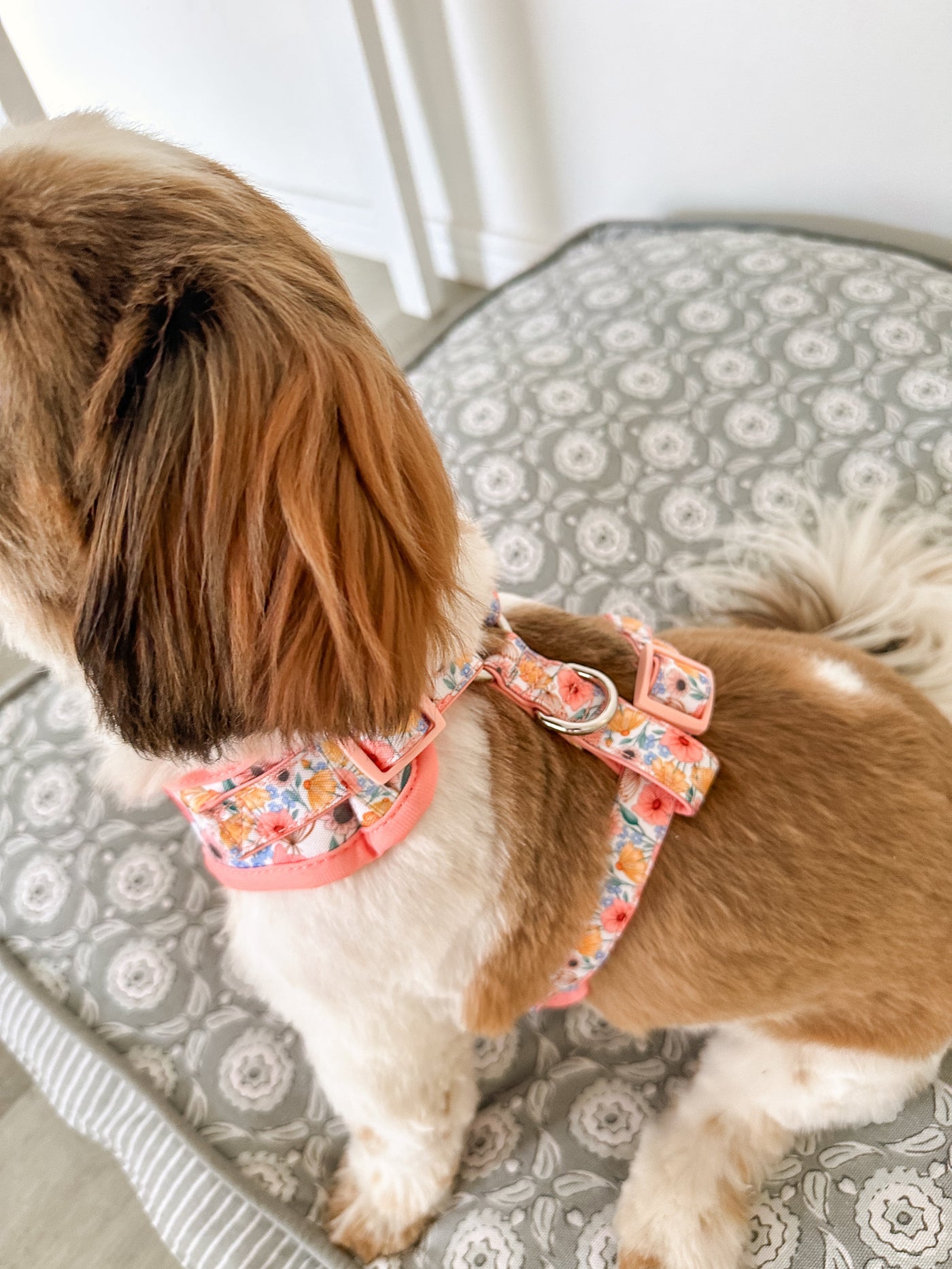 DOG HARNESS | Peachy Posies | Neck Adjustable Dog Harness-Fabric Harness-Dizzy Dog Collars