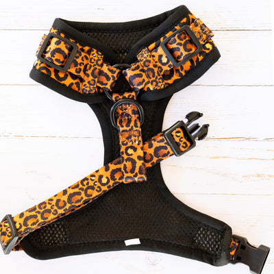 DOG HARNESS -Safari - Leopard Print, Neck Adjustable Harness (Premade)-Harness-Dizzy Dog Collars