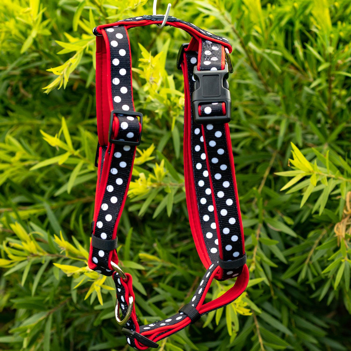 DOG HARNESS, Spotty Dox- Padded H-Harness, With Front & Back Attachment-Harness-Dizzy Dog Collars