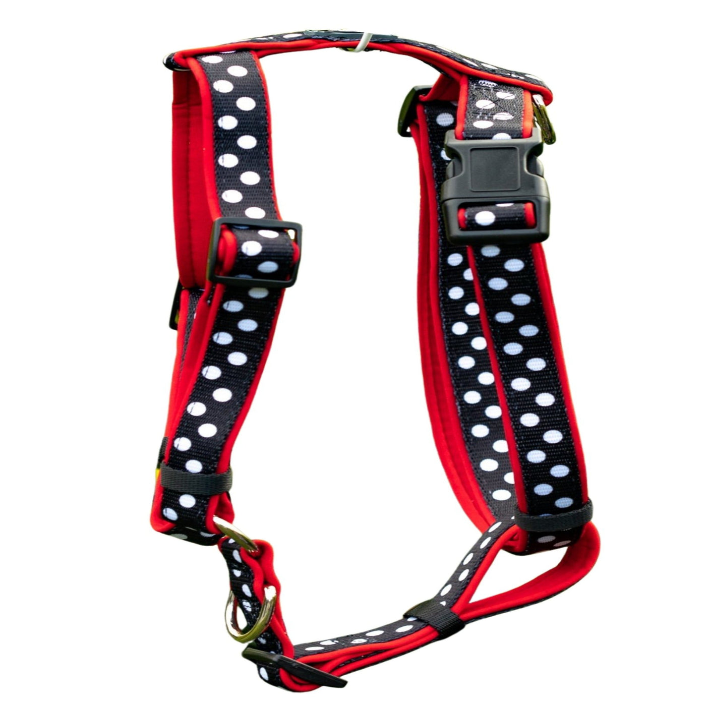 DOG HARNESS, Spotty Dox- Padded H-Harness, With Front & Back Attachment-Harness-Dizzy Dog Collars